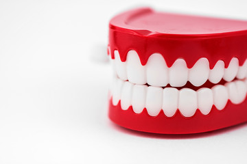 Generic chattering toy teeth close up in a white studio.