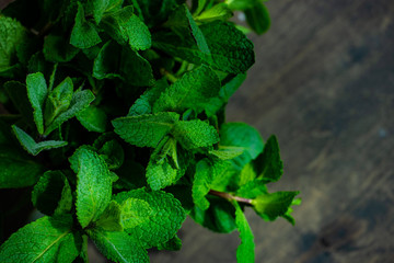 Organic mint leaves