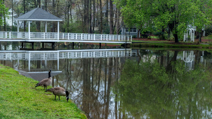 Fototapeta na wymiar Gazebo on bridge going over pond