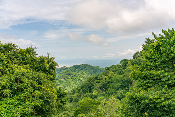Tropical rainforest in Costa Rica