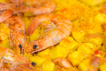 shellfish, shrimp and rice ,lemon in wine