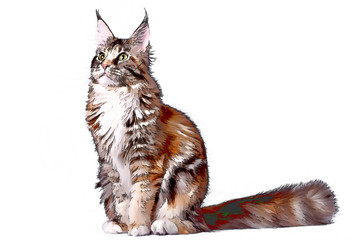 Fototapety na wymiar - Fototapeta24.pl