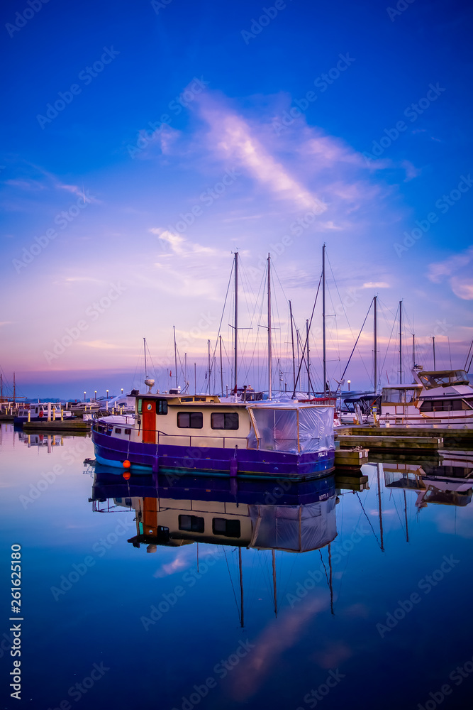 Wall mural blue hour at toronto harbor with cn tower and high rise buildings as background