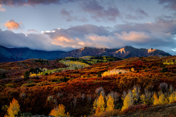 Autumn Color in San Juan  of Colorado near Ridgway and Telluride