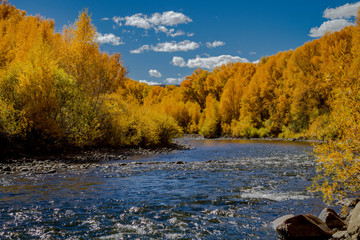 Autumn Color in San Juan and Rocky Mountains of Colorado