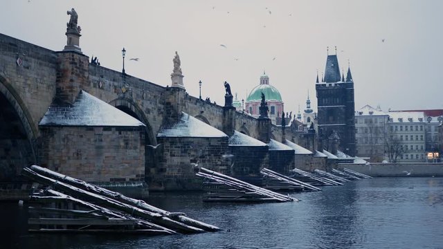 Snowy Charles Bridge in Prague, cold murky morning with lots of birds flying CLOSE TO CAMERA Vltava river, kampa first snow cloudy, Czech Republic