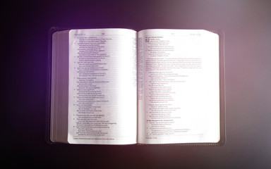 Single Bible Open on a Black Surface