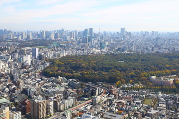 Fototapeta premium aerial view of the city
