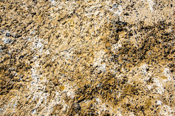 Concrete background