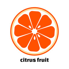 Slice citrus fruit icon isolated on white background. Vector illustration