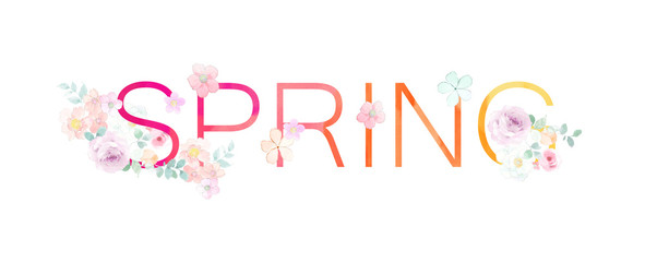 Beautiful watercolor rose peony flower