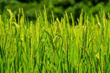 暑かった夏の終わり