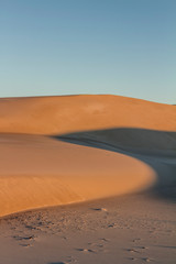 Fototapeta na wymiar Dawn over Dark Point Sand Dunes, Near Hawks Nest, Myall Lakes National Park, NSW, Australia