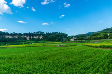 Obraz premium 暑かった夏の終わり