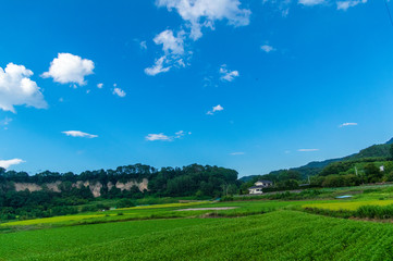 Obraz premium 暑かった夏の終わり