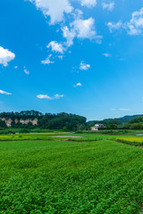 暑かった夏の終わり