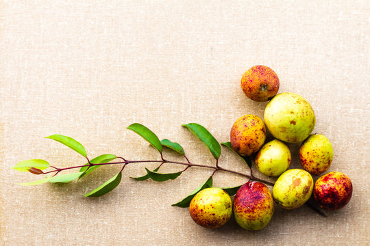 Hancornia speciosa (Mangaba fruit)