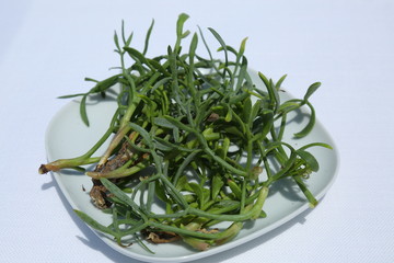 fresh green salad in a bowl isolated on white