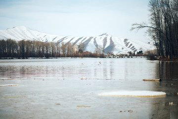 spring in east Kazakhstan landscape snowy mountines and river with ice