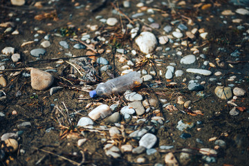 Environmental pollution plastic bottle with blue lid brown liquid inside on the beach among stones and sand