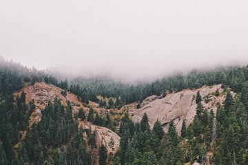 Processed with VSCO with f1 preset