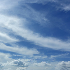 fluffy white cloud moving above clear blue sky