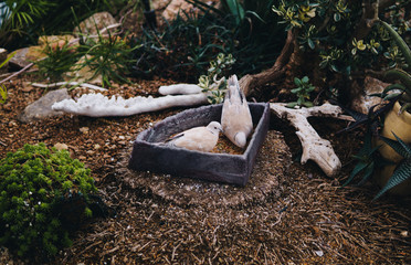 two beautiful birds resting in their nest during midday