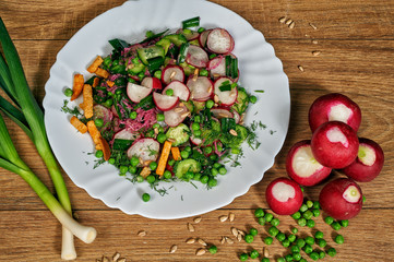 Spring salad in a plate with radish , herbs and cucumber