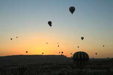 hot air balloons in the sky