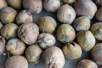 coconut in the market
