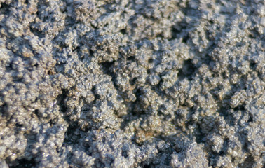 wet mud texture