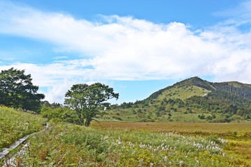 霧ヶ峰高原西部の八島ヶ原湿原