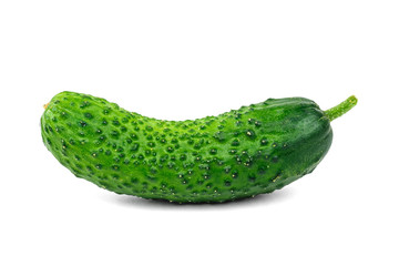 Beautiful fresh green cucumber isolated on white.