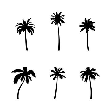 Coconut palm tree silhouette icon set.