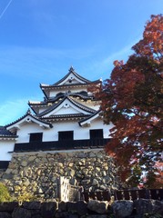 彦根城と紅葉