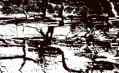 Wood texture of black and white tones. A Picture includes wood, lines, spots, dirt, streaks, dotsburnt tree and coal elements.