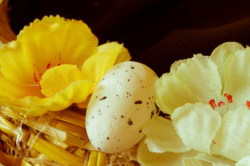 Quail egg. Easter egg. Flowers Easter. Christian holidays.