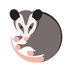  cartoon opossum, vector illustration, flat style