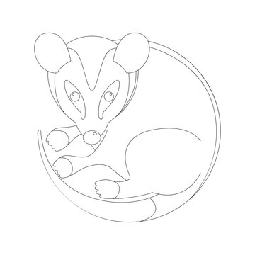  cartoon opossum, vector illustration, lining draw