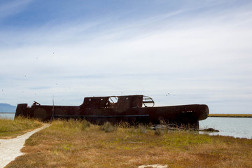 SS Waverly ship wreck near Blenheim, South Island, New Zealand