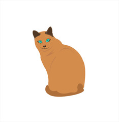 Fototapeta premium vector image of big cat