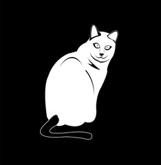 vector image of big cat