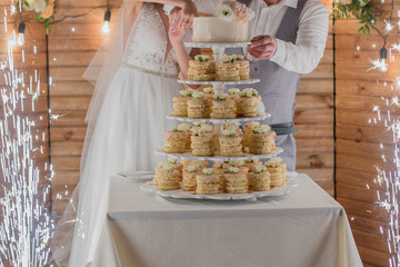bride and groom cut the wedding cake and fireworks