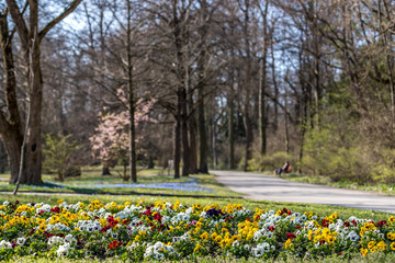 Park in Regensburg