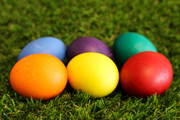 Fototapeta na wymiar Six easter egg row on green grass background