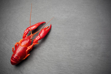 Red cooked lobster on black slate table