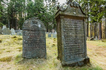 Pansky Vrch, Czech Republic / Europe - April 1 2019: Grey tombstones with Hebrew letters on an old Jewish cemetery placed in the woods close to Drmoul, surrounded with trees, green grass