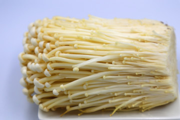 えのき茸のブツ撮り