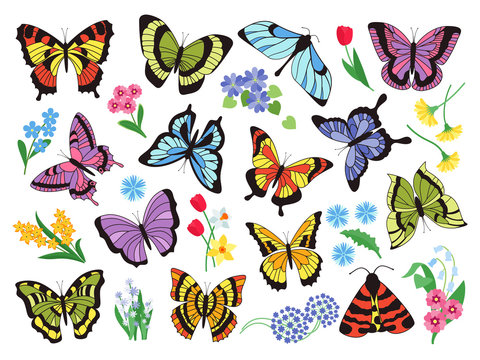 Colored butterflies. Hand drawn simple collection of butterflies and flowers isolated on white background. Vector graphic collection drawn vintage flying insect