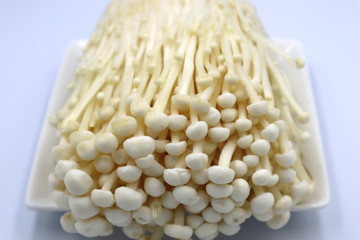 えのき茸のブツ撮り